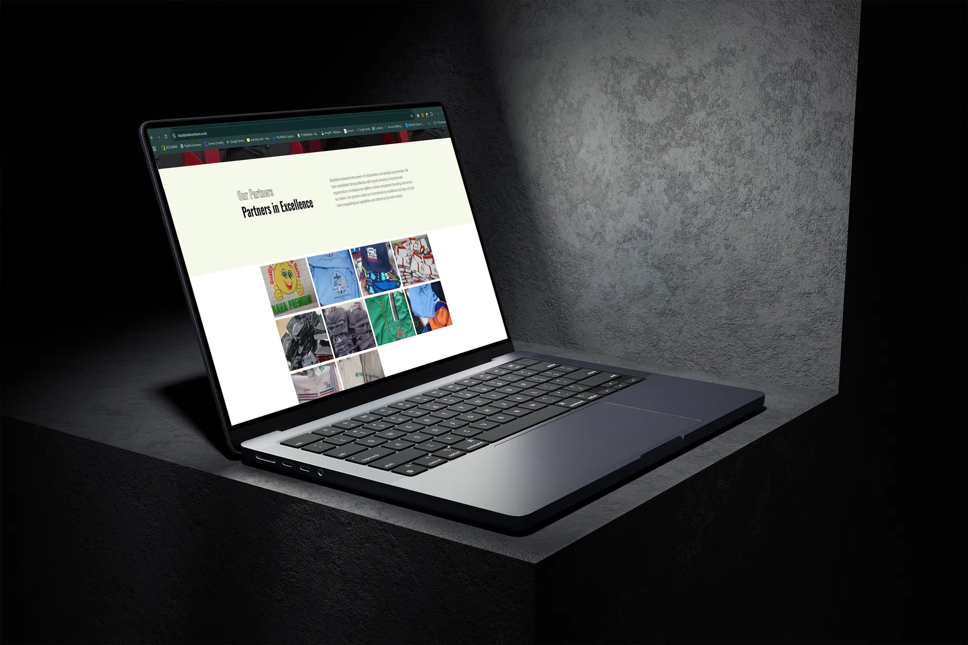 Blackbird Inventions website by Mocky