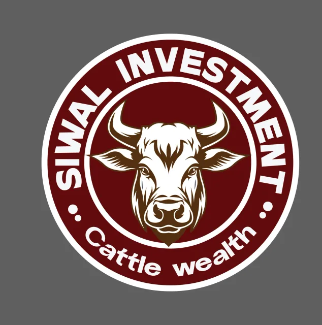 Custom logo design by Mocky #4